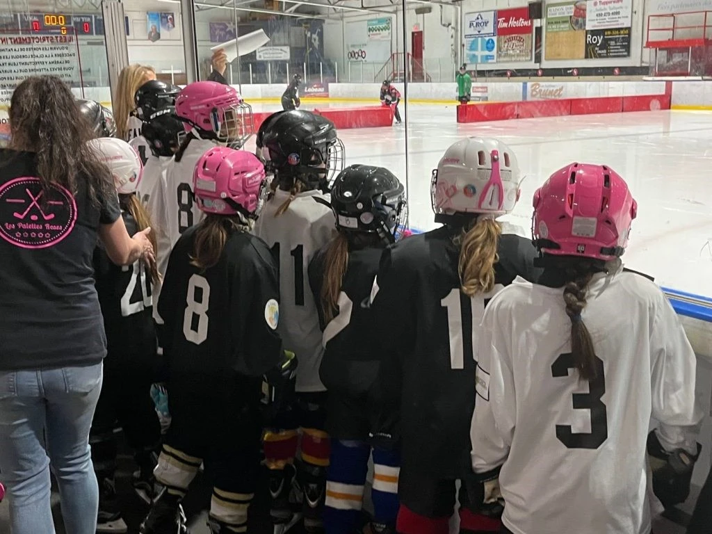 Mini-Palettes Roses — OBNL hockey féminin jeunesse